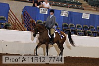 11r12_7744 thumbnail