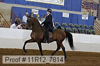 11r12_7814 thumbnail