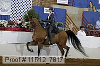 11r12_7817 thumbnail