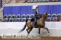 11r12_7829 thumbnail