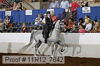 11r12_7842 thumbnail