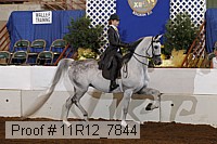 11r12_7844 thumbnail