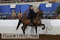 11r12_7846 thumbnail