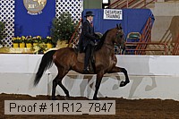 11r12_7847 thumbnail