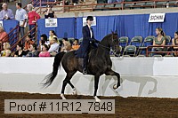 11r12_7848 thumbnail