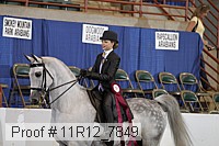 11r12_7849 thumbnail