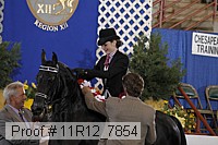 11r12_7854 thumbnail