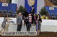 11r12_7857 thumbnail