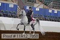 11r12_7858 thumbnail