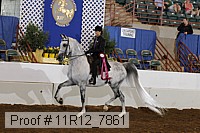 11r12_7861 thumbnail