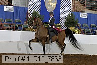 11r12_7863 thumbnail