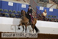 11r12_7865 thumbnail
