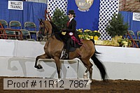 11r12_7867 thumbnail