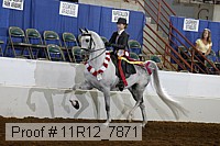 11r12_7871 thumbnail
