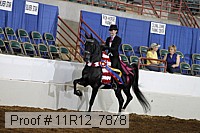 11r12_7878 thumbnail