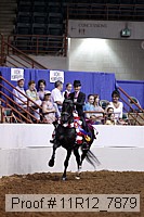 11r12_7879 thumbnail