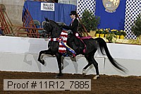 11r12_7885 thumbnail