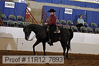 11r12_7893 thumbnail
