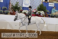 11r12_8206 thumbnail