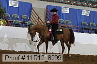 11r12_8299 thumbnail