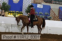 11r12_8301 thumbnail