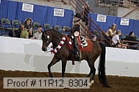 11r12_8304 thumbnail