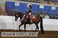 11r12_8307 thumbnail