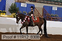 11r12_8308 thumbnail