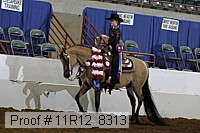 11r12_8313 thumbnail