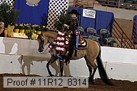 11r12_8314 thumbnail