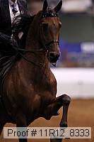 11r12_8333 thumbnail