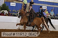 11r12_8642 thumbnail