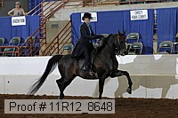 11r12_8648 thumbnail