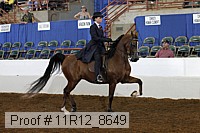 11r12_8649 thumbnail