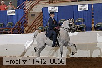11r12_8650 thumbnail