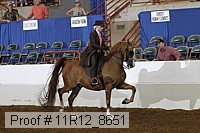 11r12_8651 thumbnail