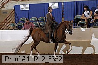 11r12_8652 thumbnail