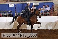 11r12_8653 thumbnail