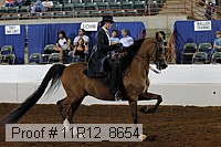 11r12_8654 thumbnail