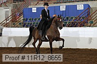 11r12_8655 thumbnail