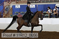 11r12_8656 thumbnail