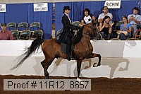 11r12_8657 thumbnail