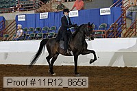 11r12_8658 thumbnail