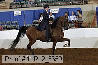 11r12_8659 thumbnail