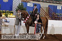 11r12_8662 thumbnail