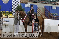 11r12_8663 thumbnail