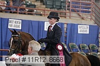 11r12_8668 thumbnail