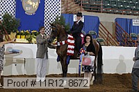 11r12_8672 thumbnail