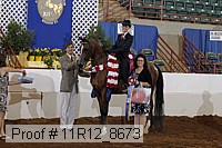 11r12_8673 thumbnail