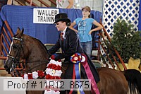 11r12_8675 thumbnail